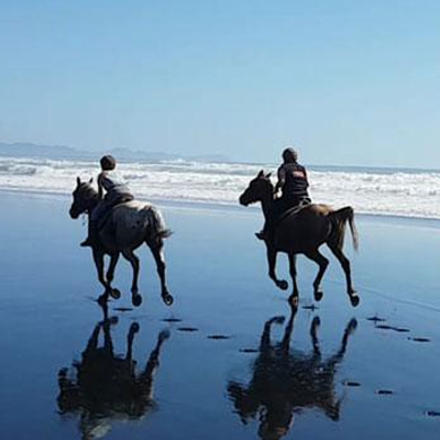 Chuffed gifts horse ride trek beach present