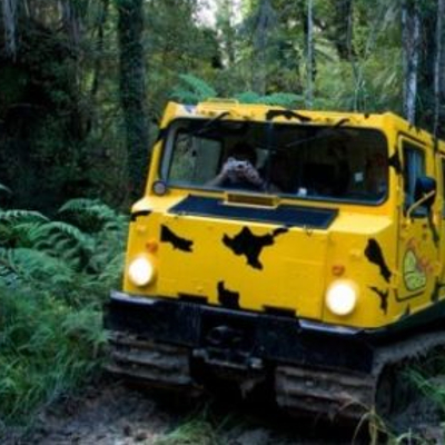 Chuffed gifts off road drive bush forest present